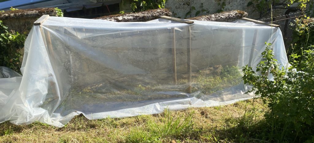 Construire rapidement une petite serre à tomate contre un mur (spécial terrain en pente, bricolage&nbsp;débutant)