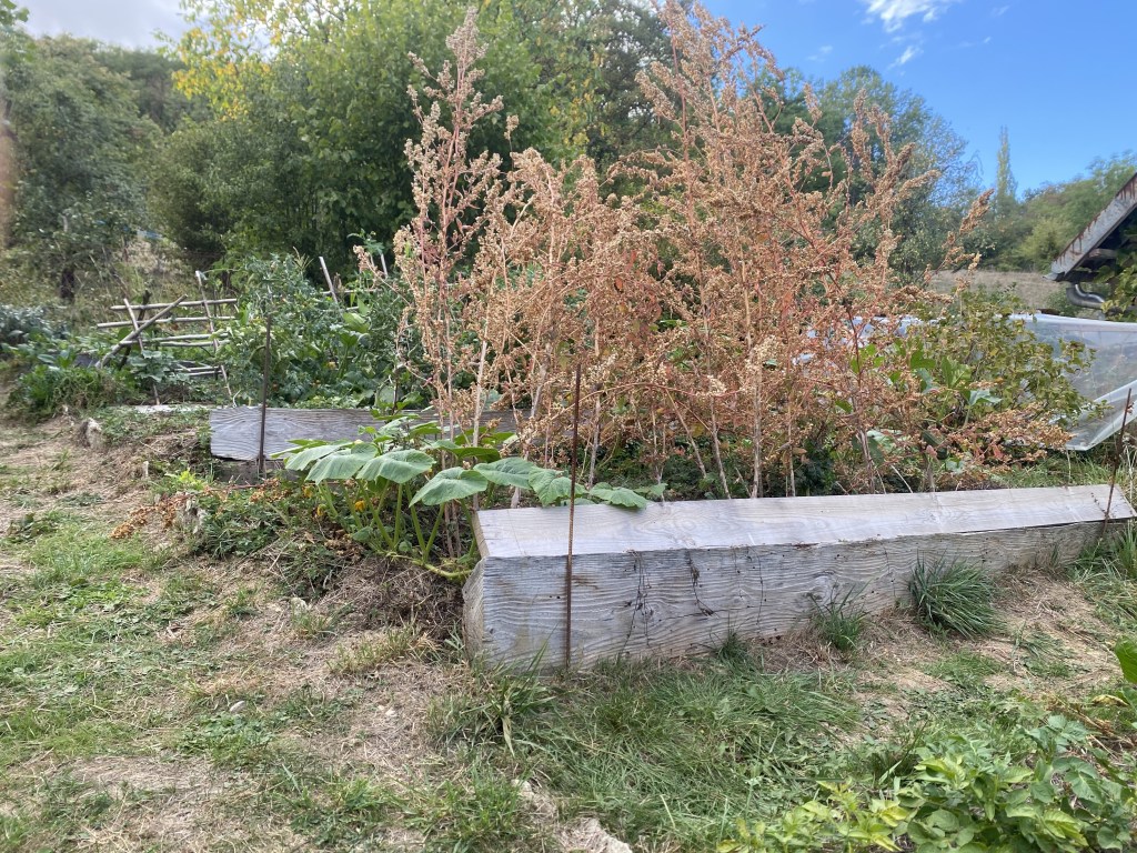 Pourquoi choisir la permaculture&nbsp;?